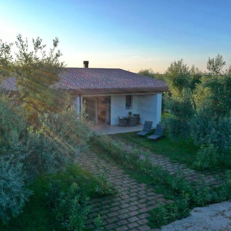Bed and Breakfast I Secolari Sannicandro di Bari Zewnętrze zdjęcie