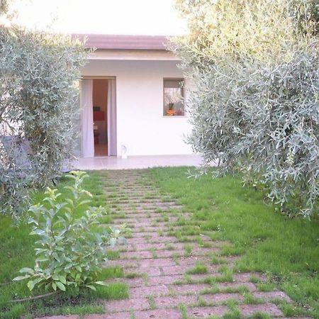 Bed and Breakfast I Secolari Sannicandro di Bari Zewnętrze zdjęcie