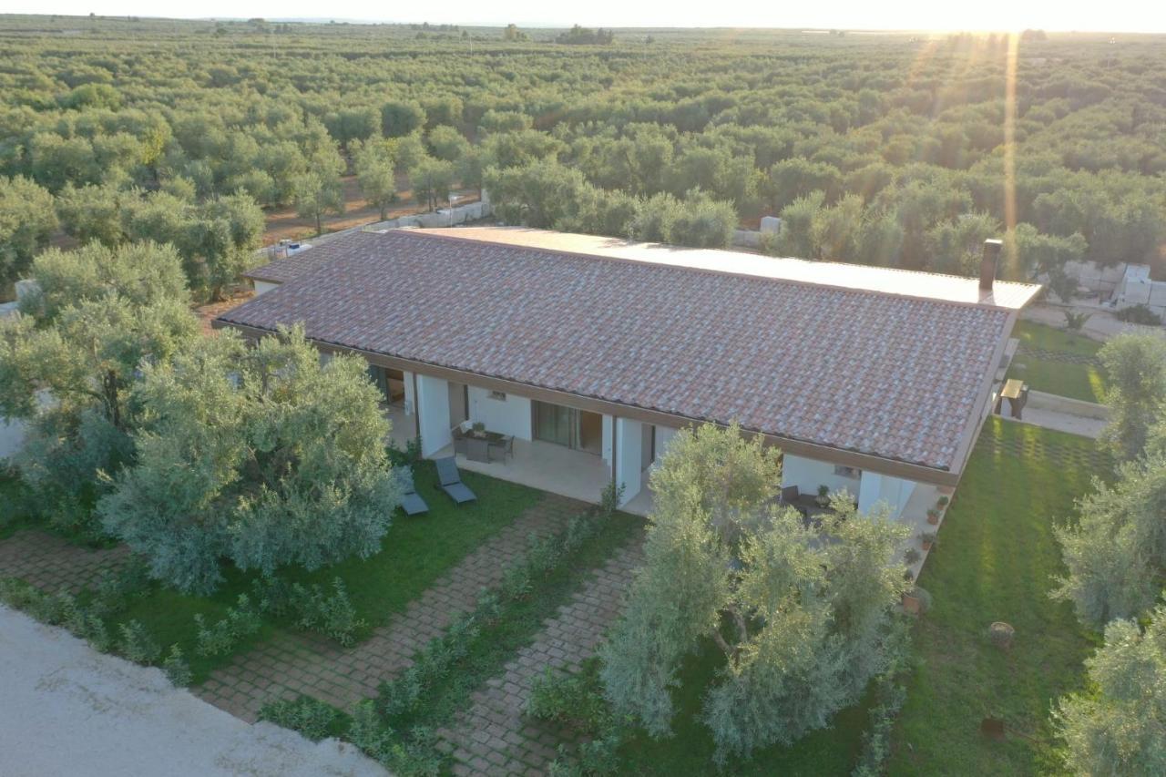 Bed and Breakfast I Secolari Sannicandro di Bari Zewnętrze zdjęcie