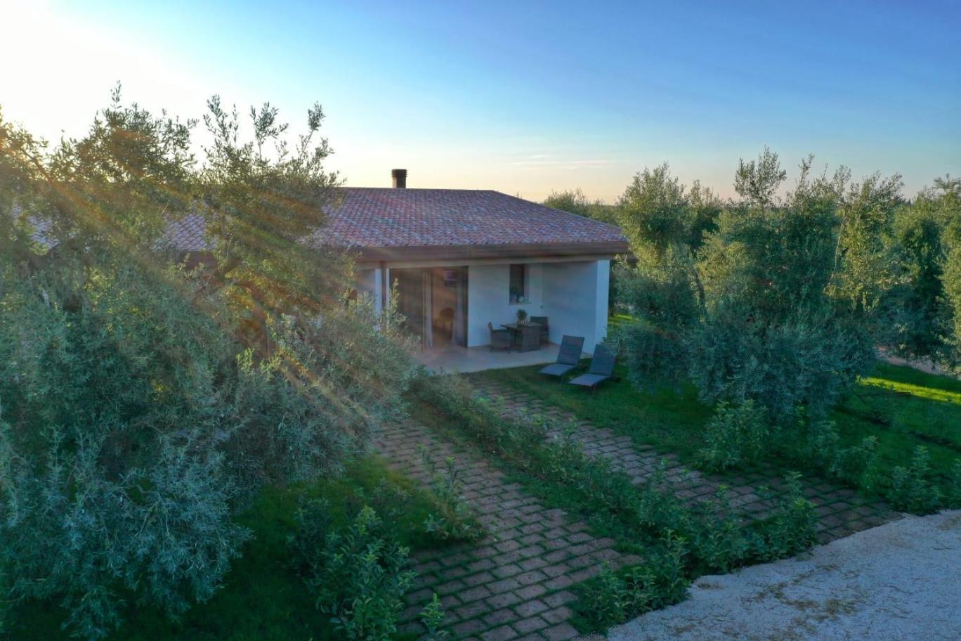 Bed and Breakfast I Secolari Sannicandro di Bari Zewnętrze zdjęcie