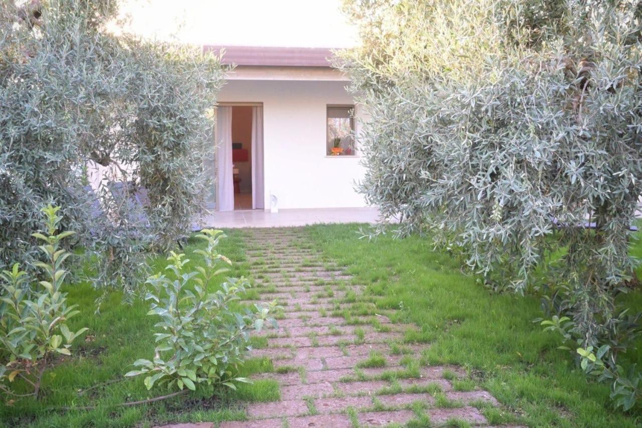 Bed and Breakfast I Secolari Sannicandro di Bari Zewnętrze zdjęcie